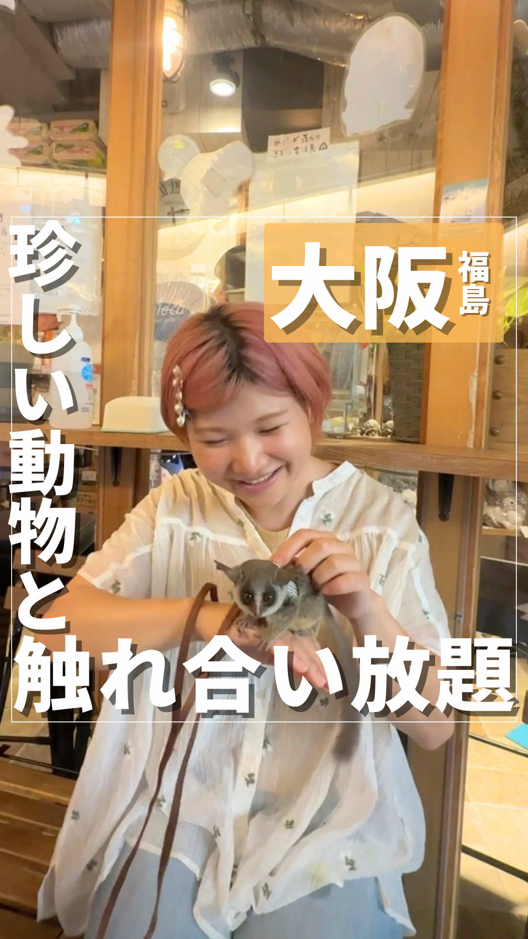 @nontabi_odekake