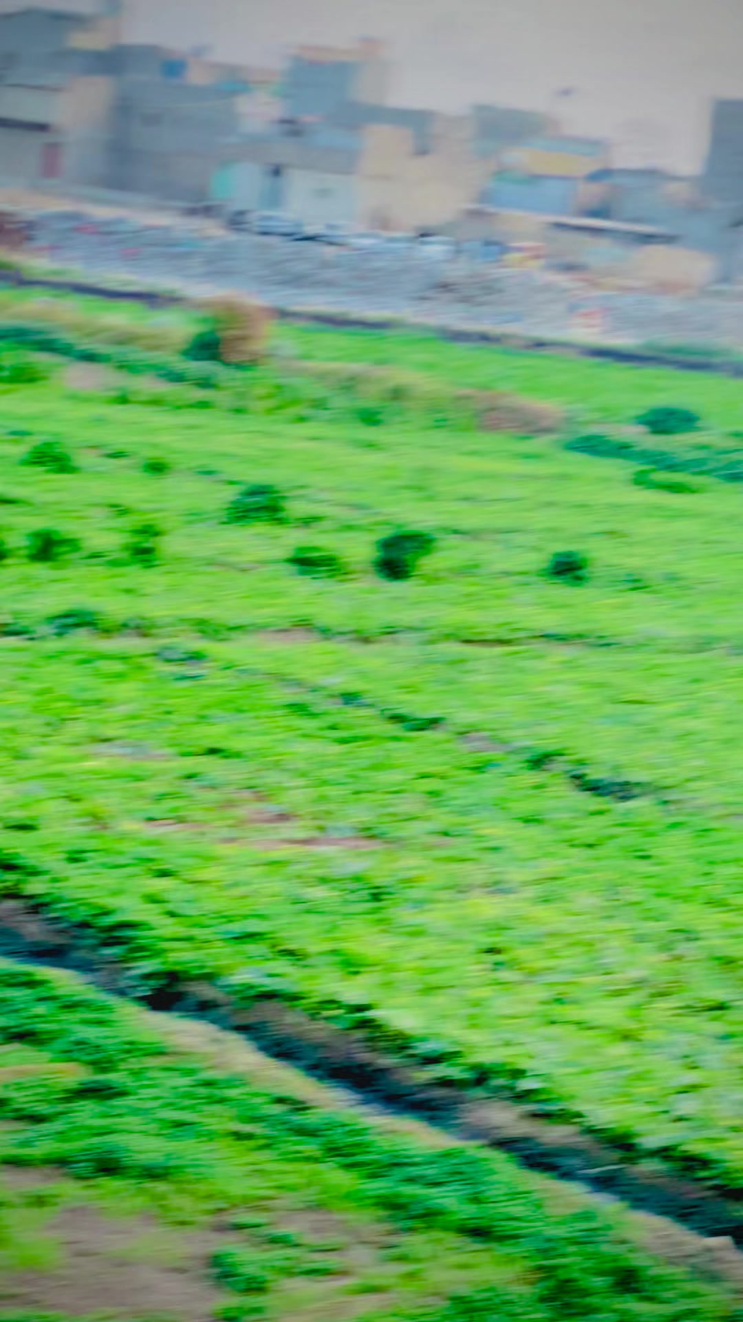 @𝐌𝐊🚩بنگش