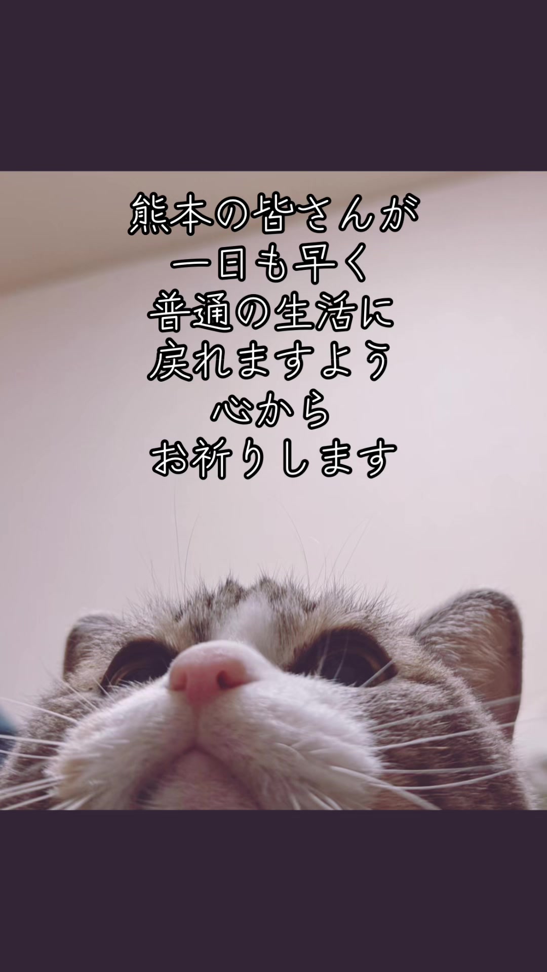 @くーちゃん
