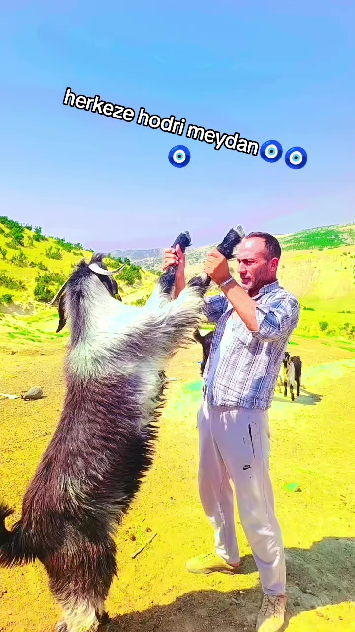 @Y&ouml;r&uuml;koğlu Yaşar 20