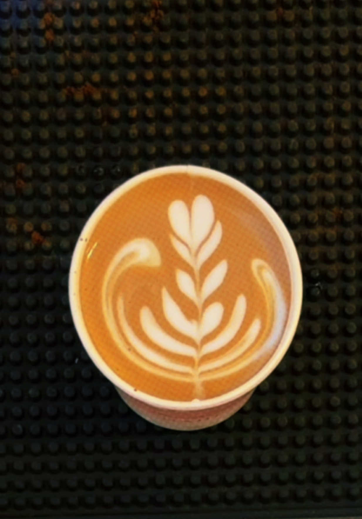 @✨ “BaristaEmon”☕