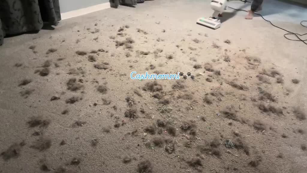 @CashmommiVacs