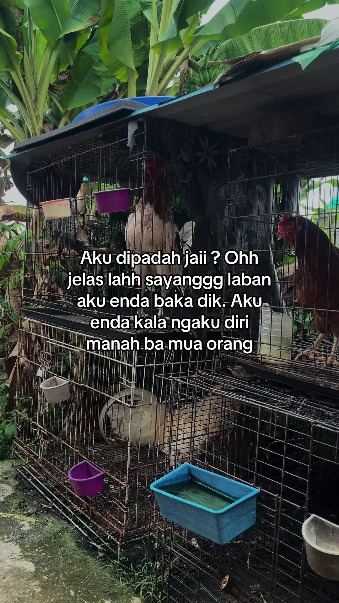 @Salai bicing🌚