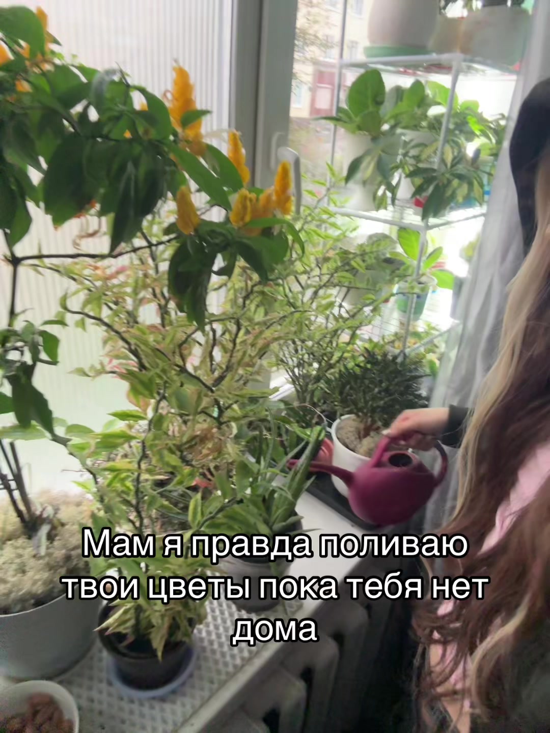 @Пчела
