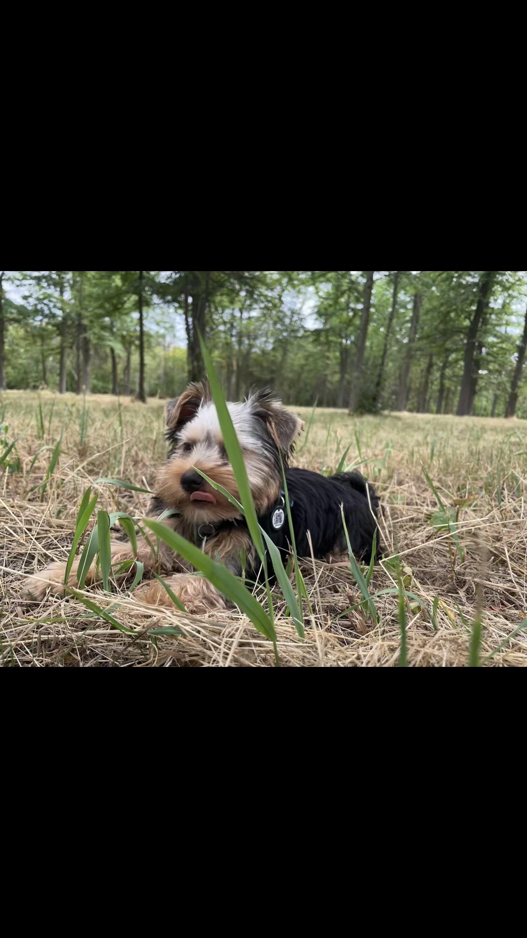 @&bull;𝒱𝒾𝑜𝓁𝒶 𝒜𝓈𝒽🌿