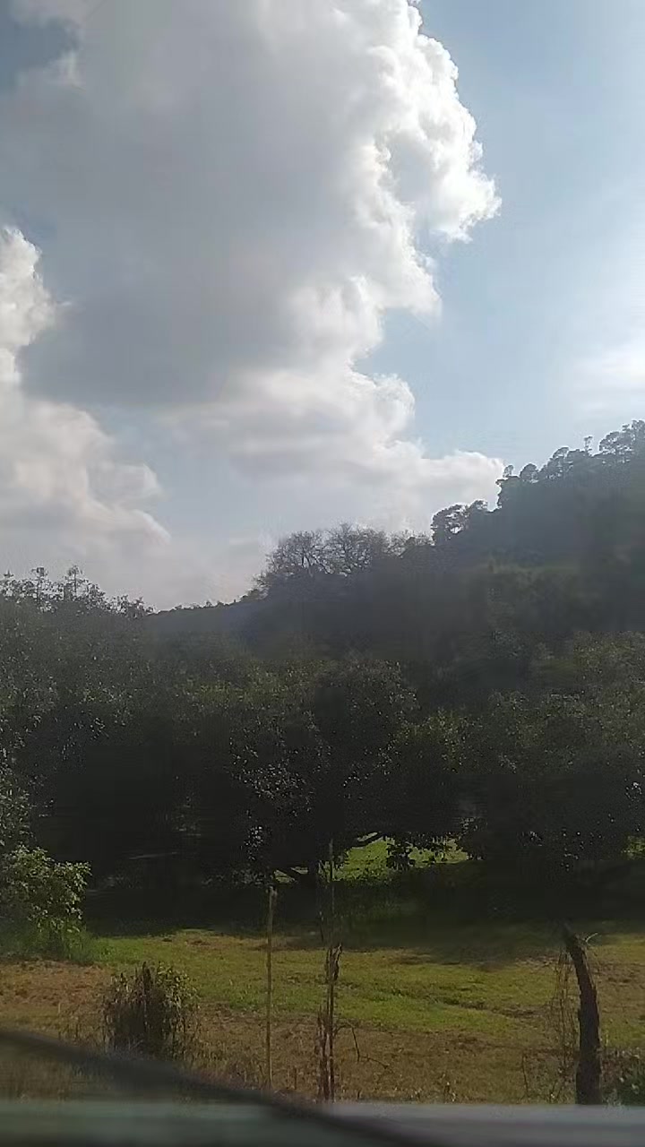 @NEXCJesus
