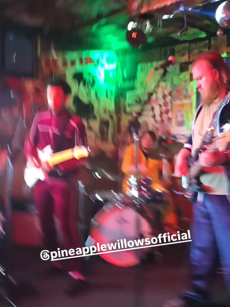 @PineappleWillowsOk