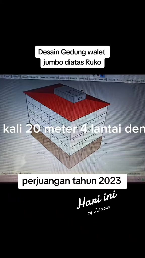 @Walet Rimba Kalimantan