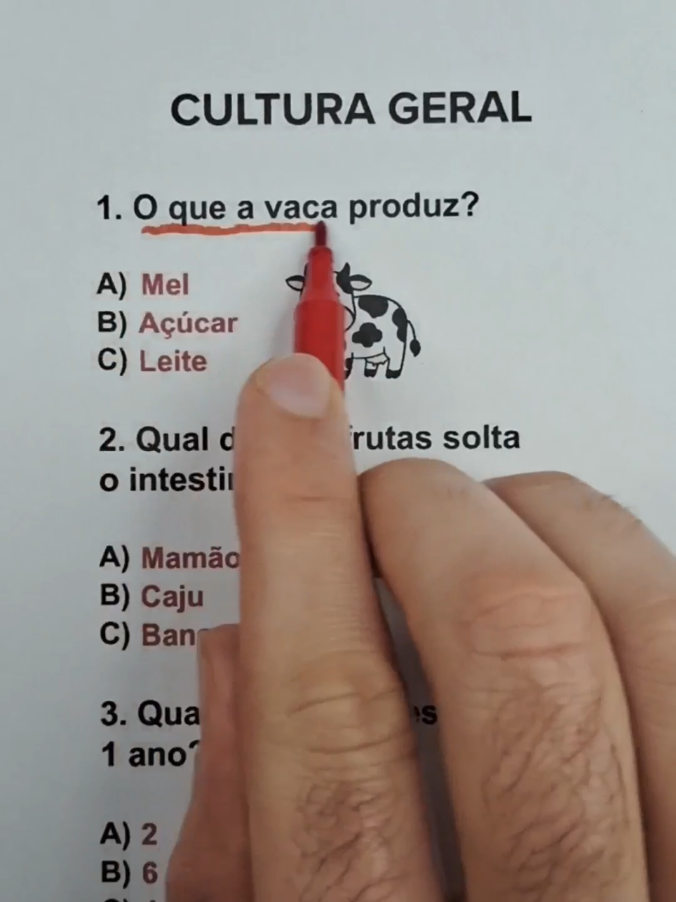 @Quiz R&aacute;pido