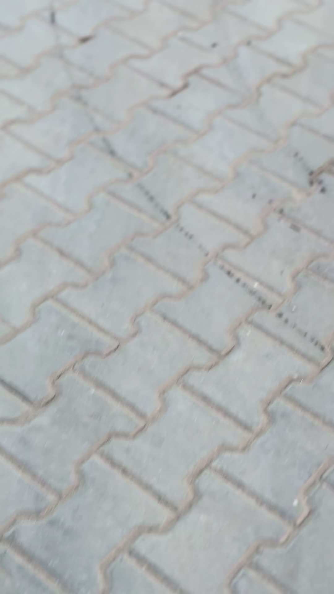 @Harris 804 🚩