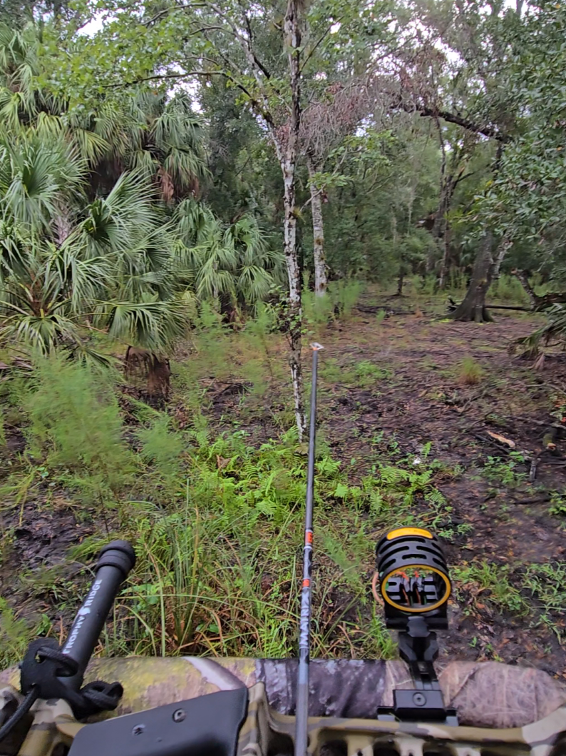 @Floridawoodsman