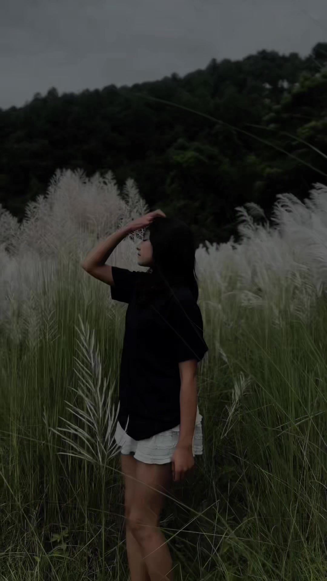 @🐼