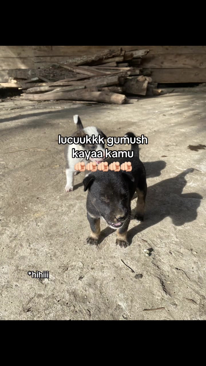 @2january👀