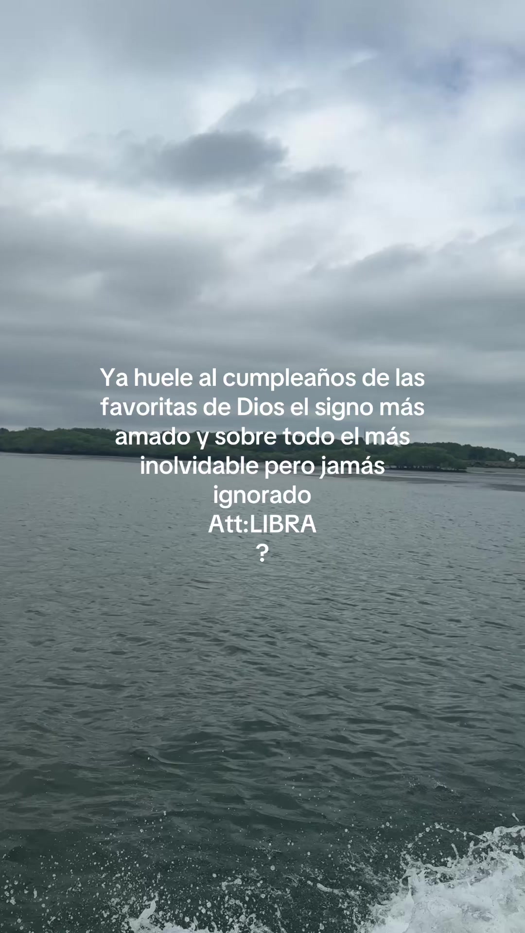 @Samanta Toledo❤️🐝