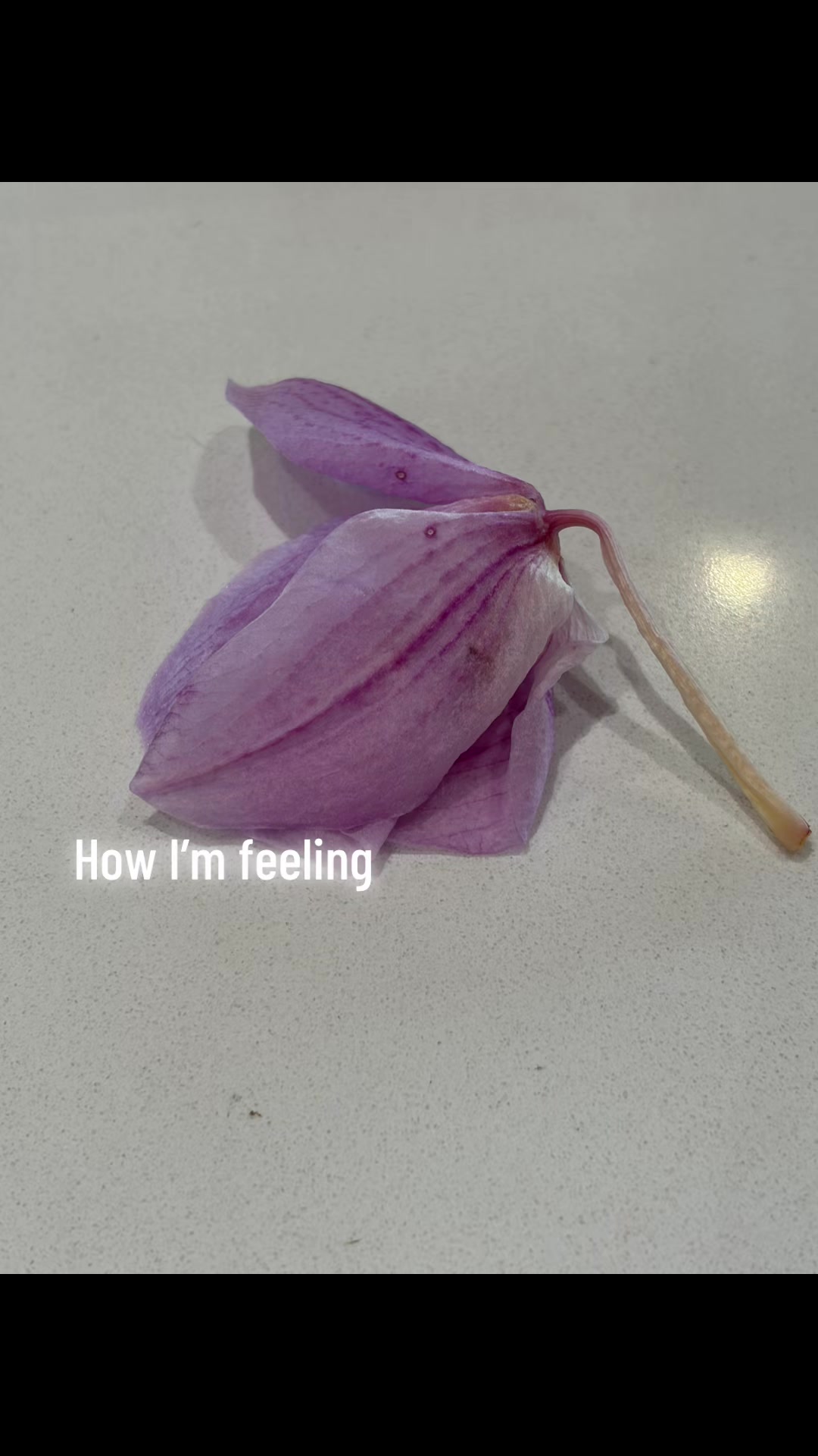 @Ruby Elizabeth