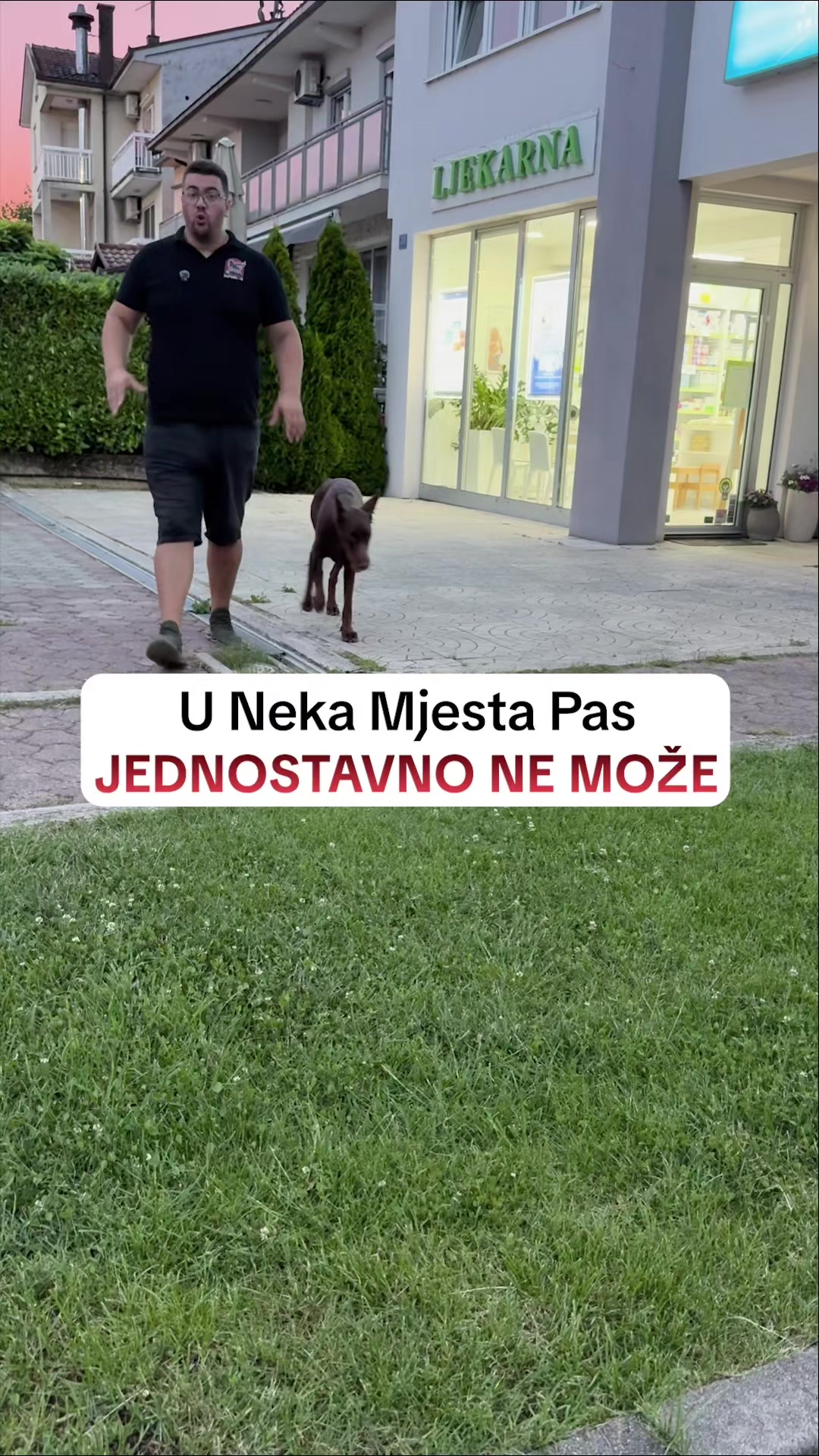 @superdog.akademija