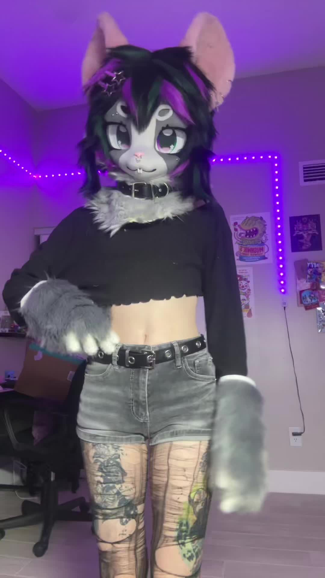 @Interstellarpawz