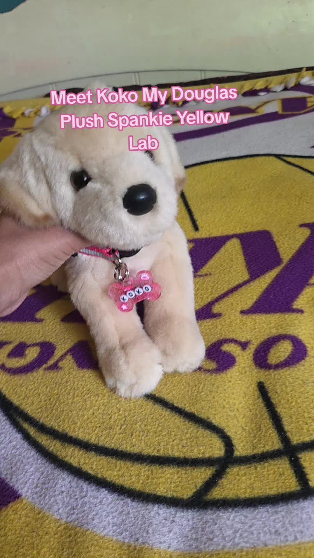 @🪸🏖IsabellaandDino🪸🏖