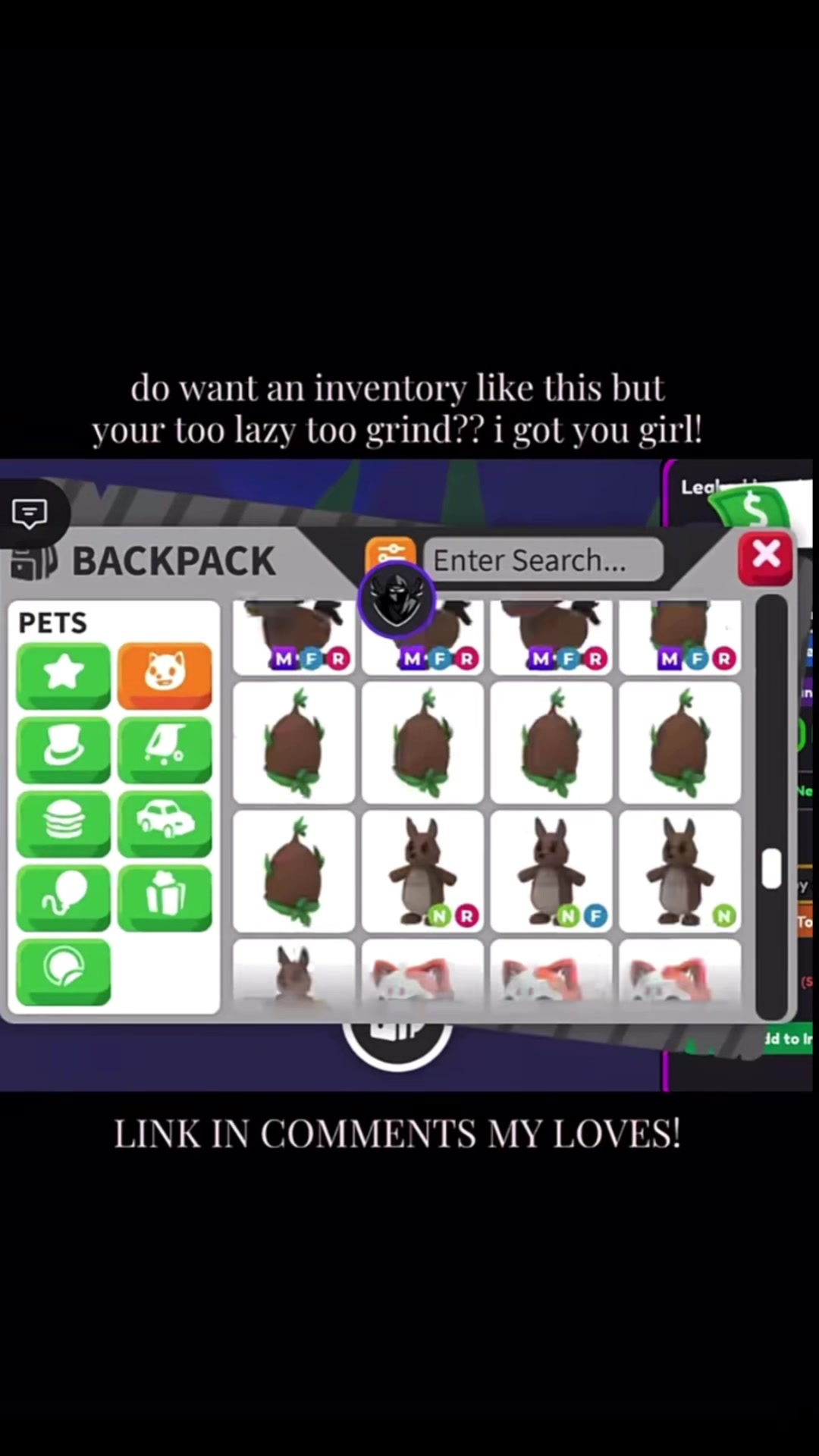 @clingefn💎