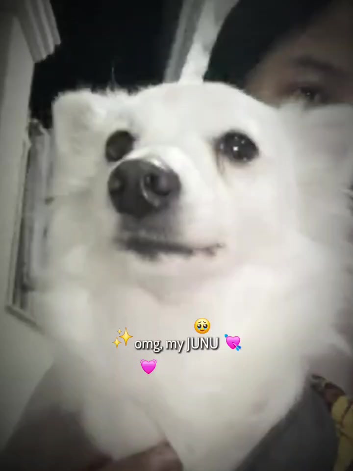 @ALEXA โโก