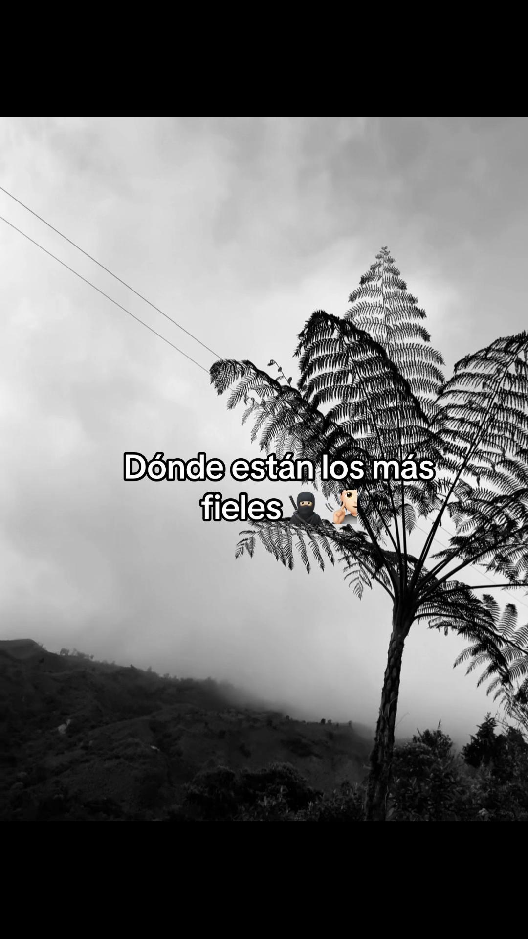 @🪫SUFRIDO🚶🏻♂️