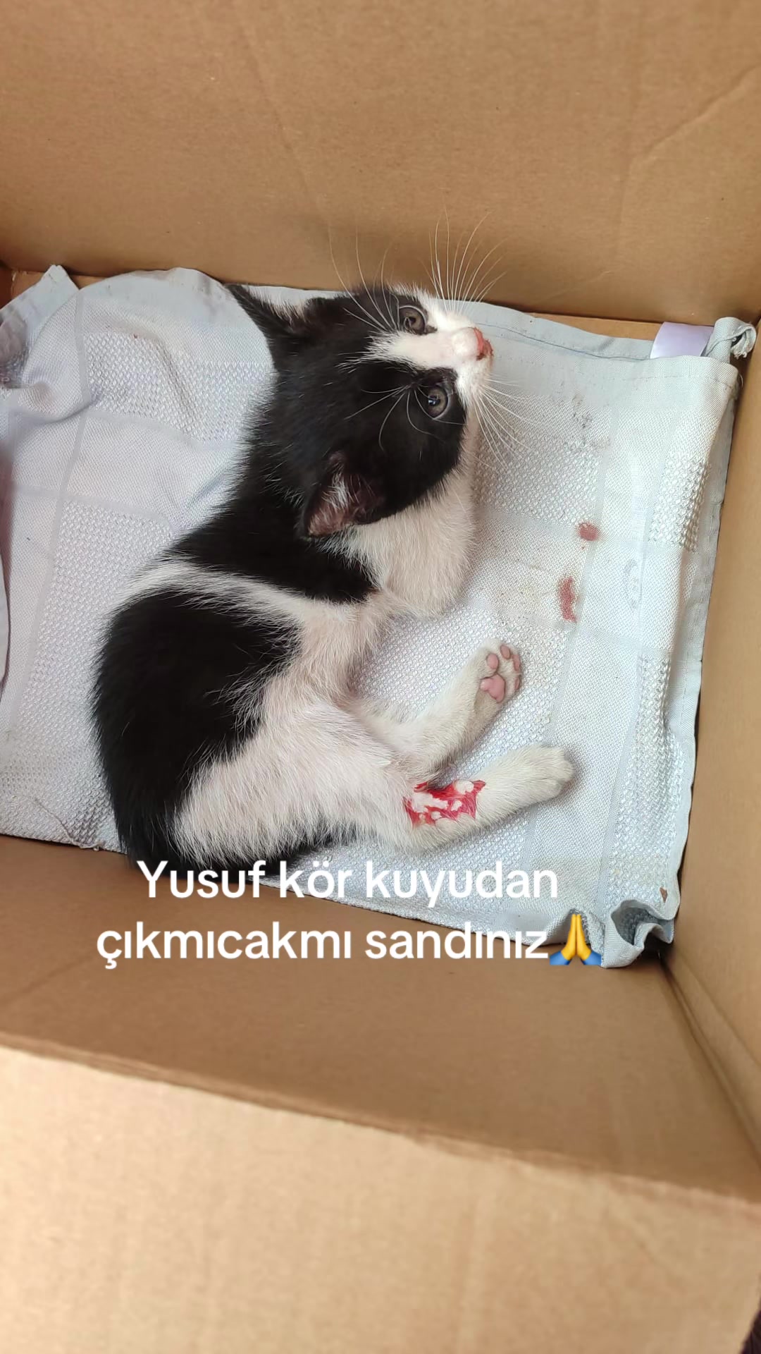 @Nurten