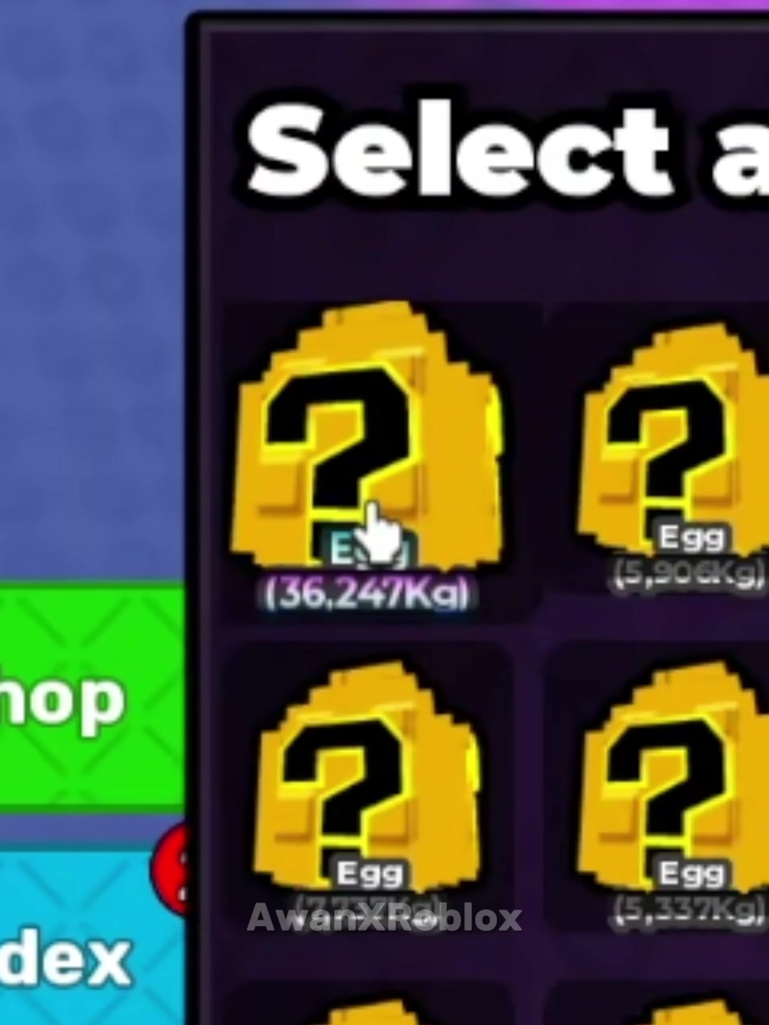 @AwanXRoblox