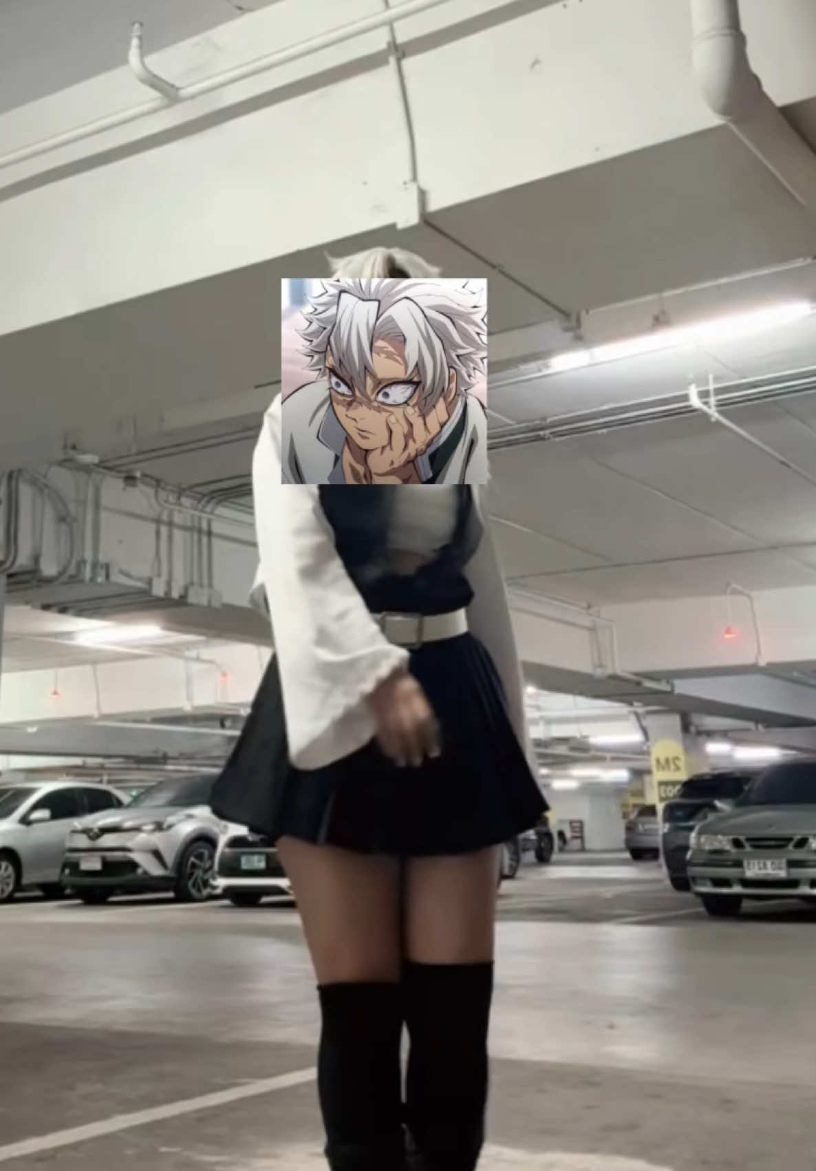 @真夜 (Mayo) - 159🦉🎐