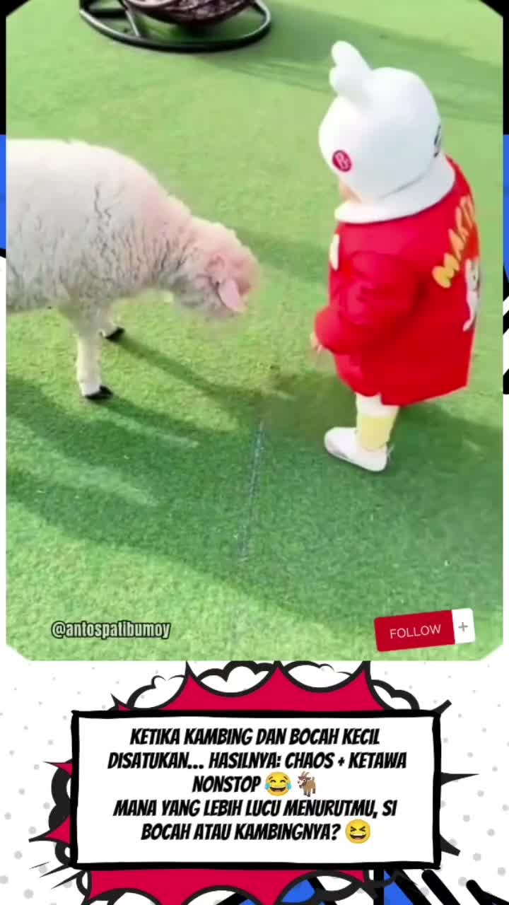 @ANEKA FAKTA HEWAN