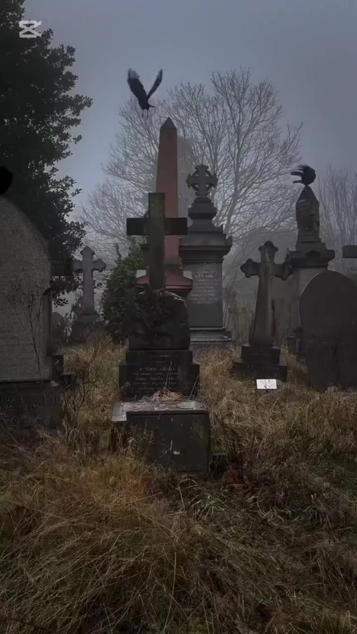@AyitiVoice