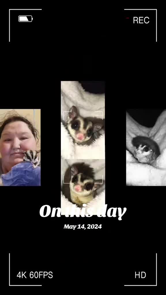 @Sugarglider  momma81