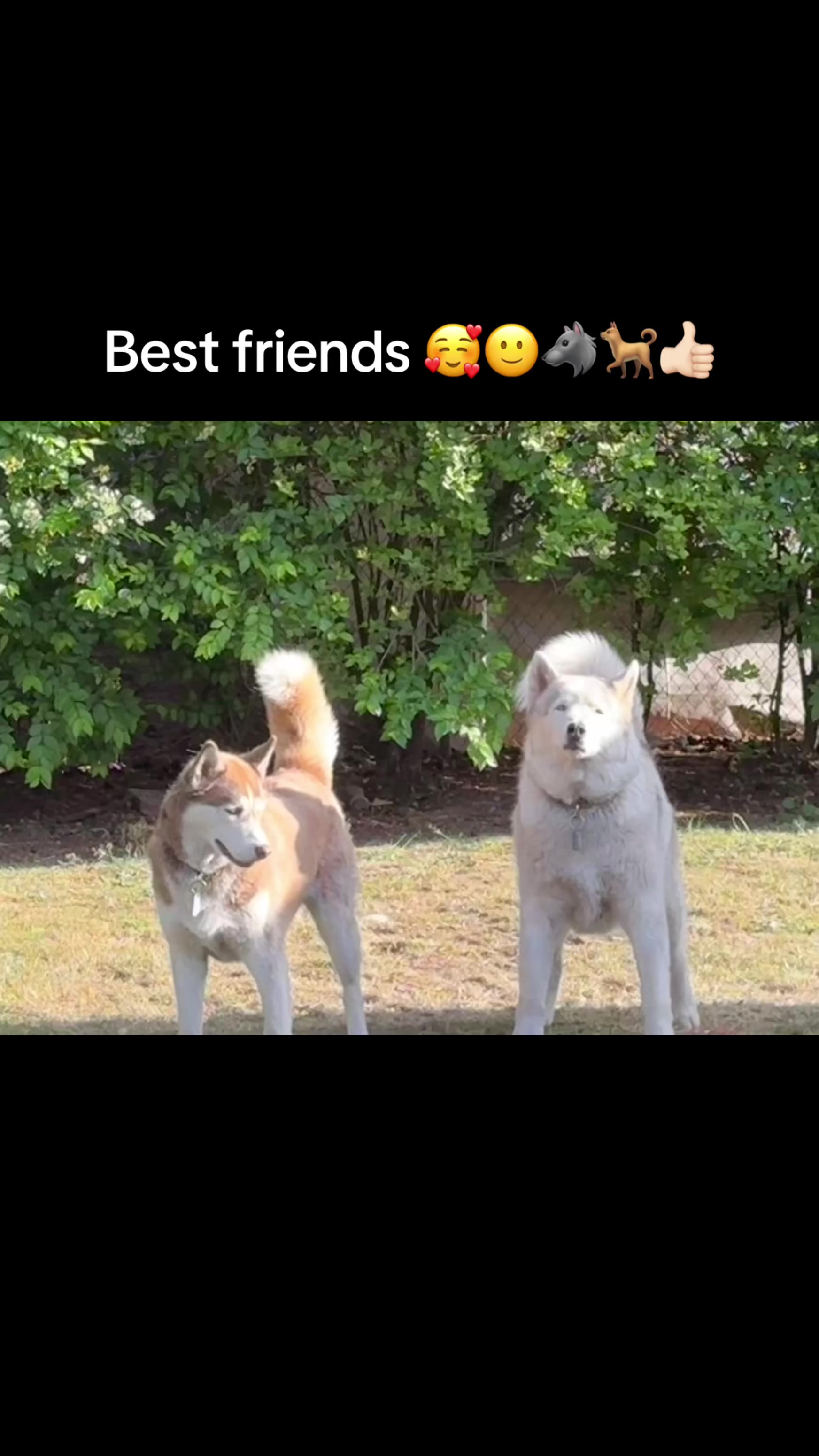 @janolouis95