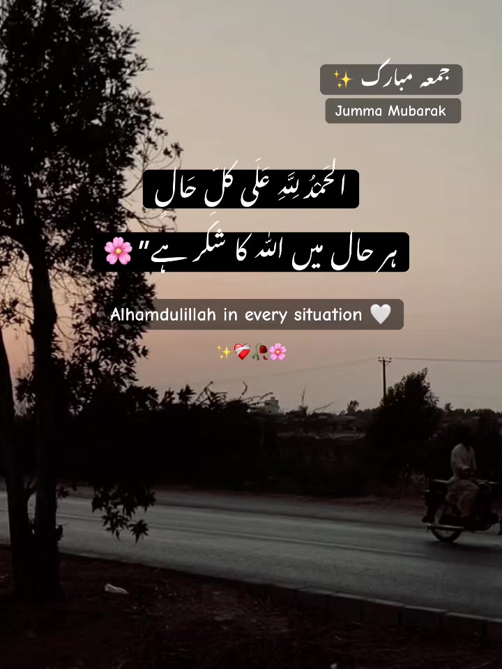 @𝘏 𝘈 𝘕 𝘡 𝘈 𝘓 𝘈 🐼 ✓