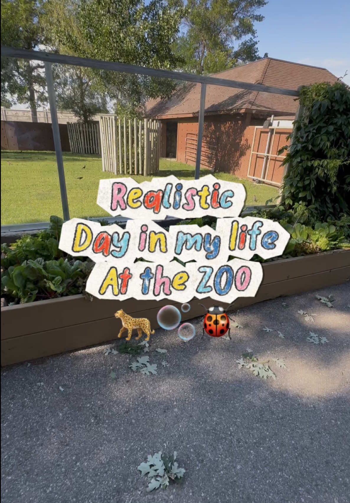 @rylizzle🐆🪴🎨🧸🍋🪽