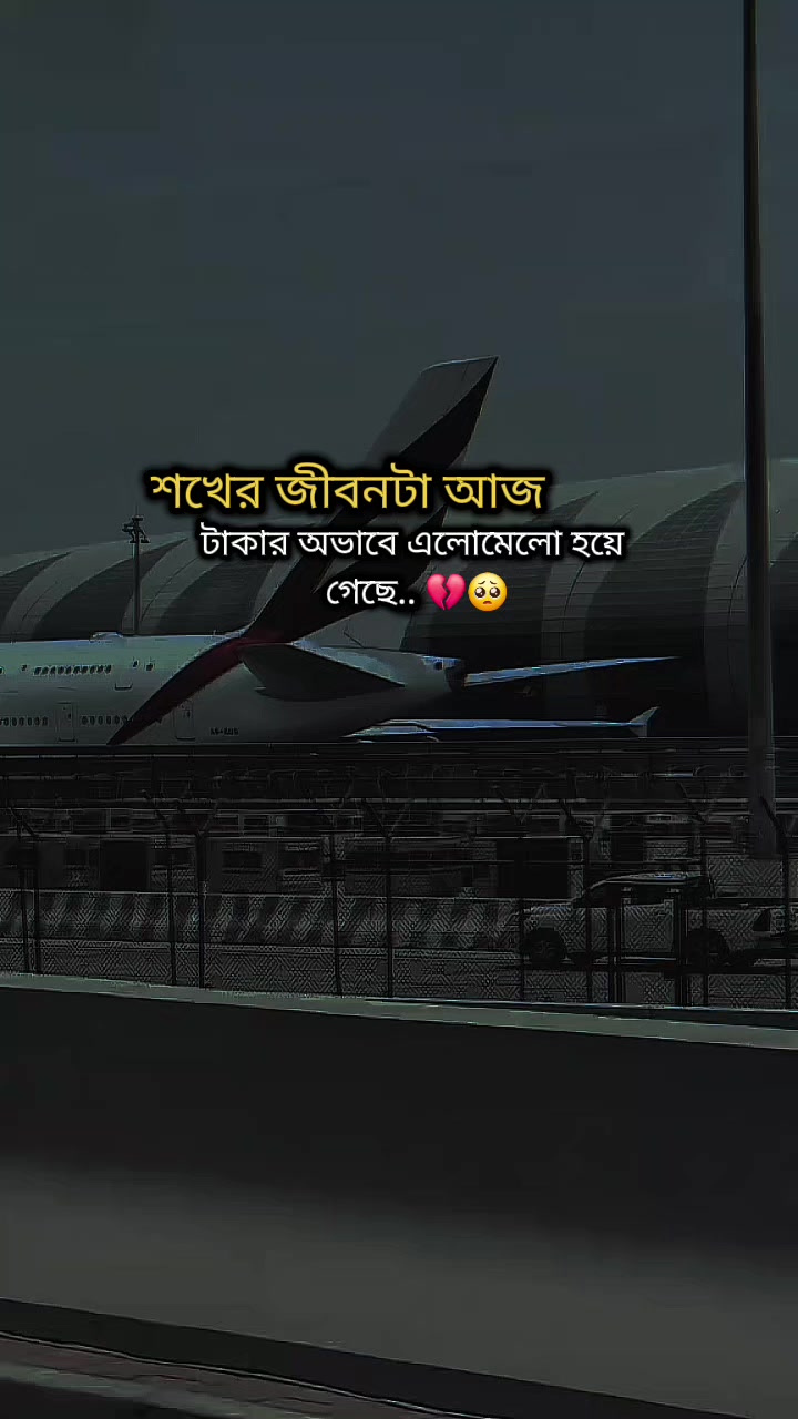 @★★প্রবাস জীবন >✈🖋️