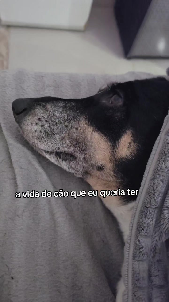 @Italo Camargo