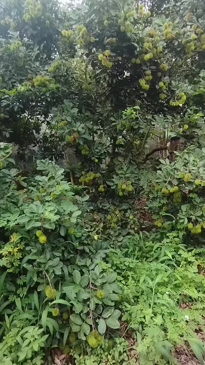 @Vinh Bùa