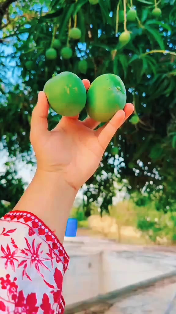 @🍁𝐍🍁