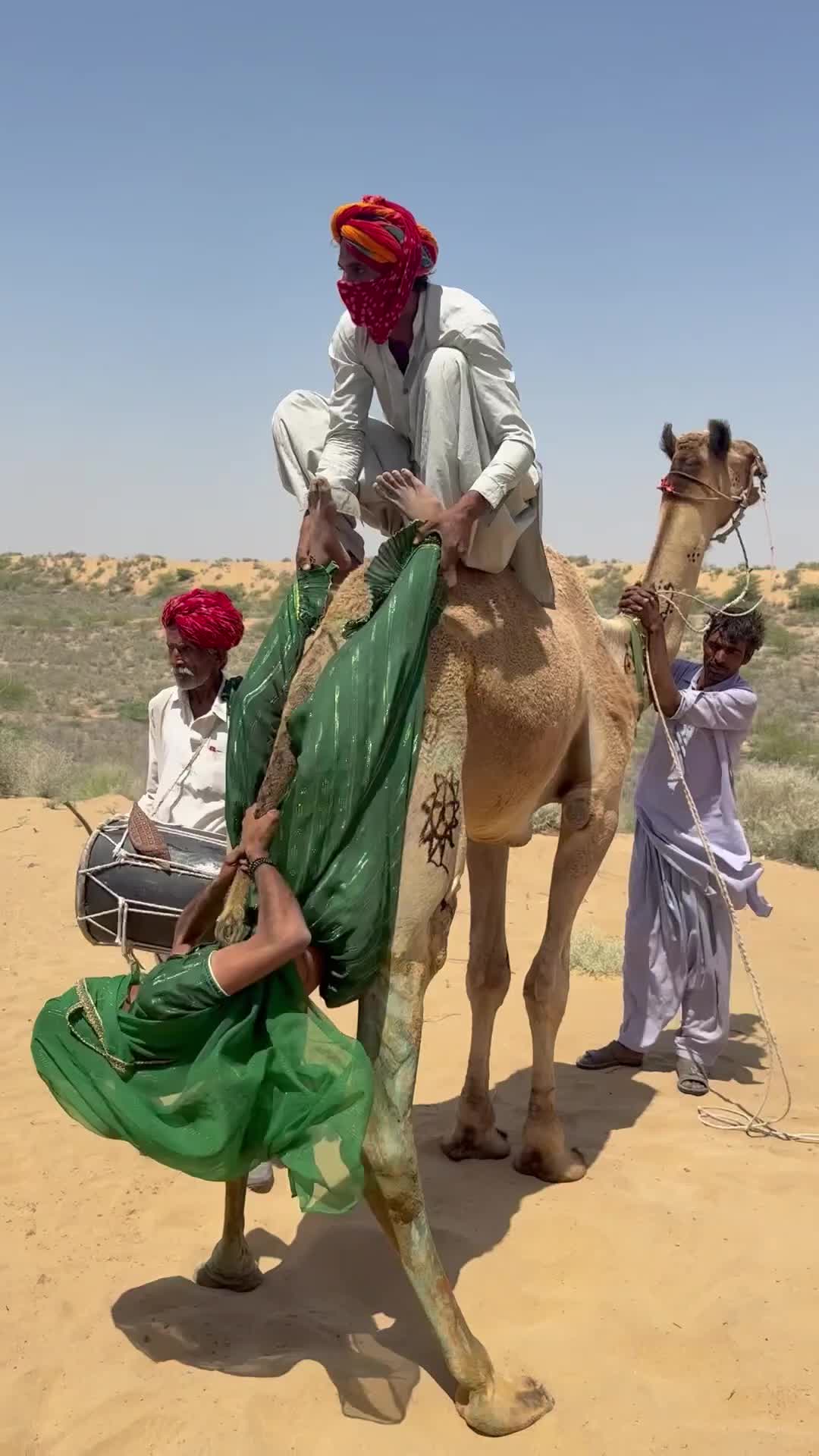 @Camel baby🐪