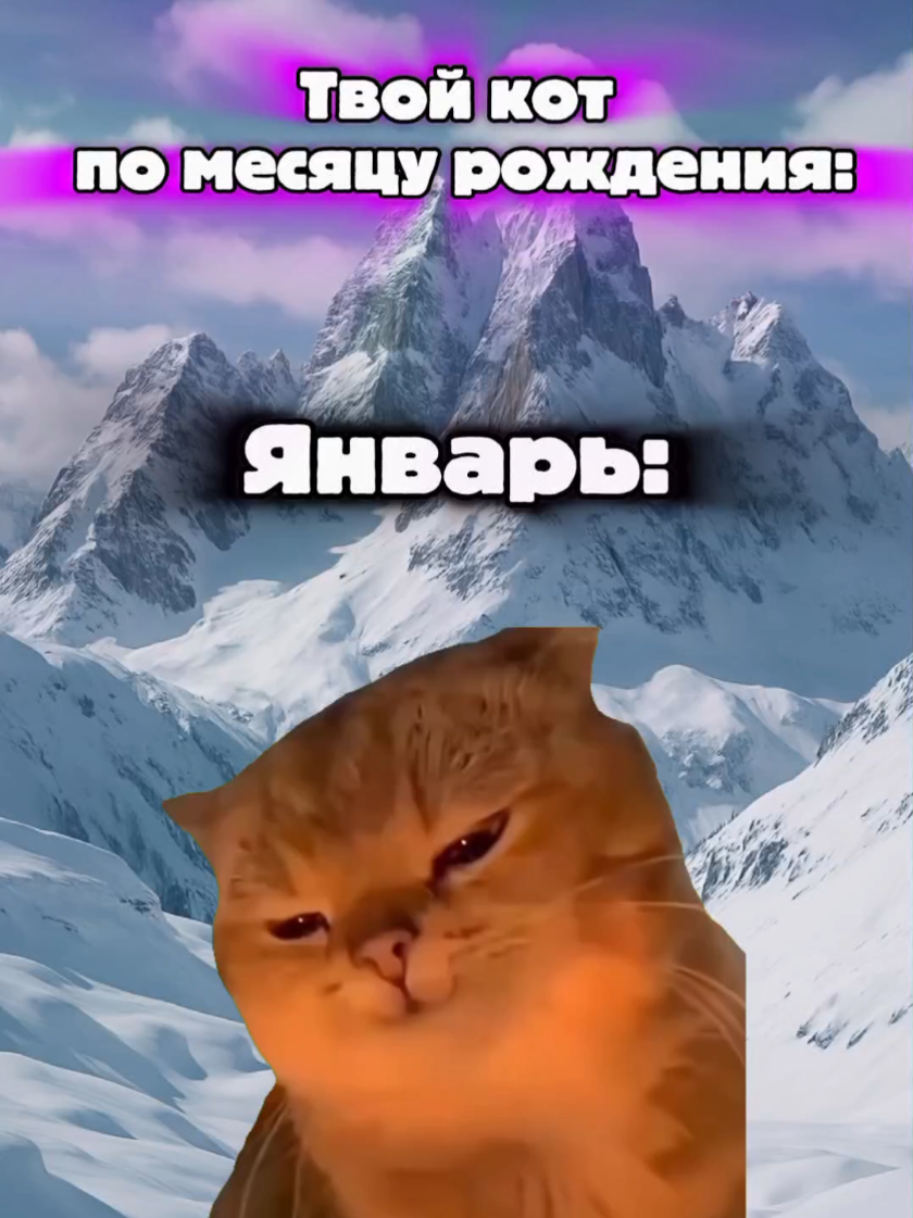 @MisterCat