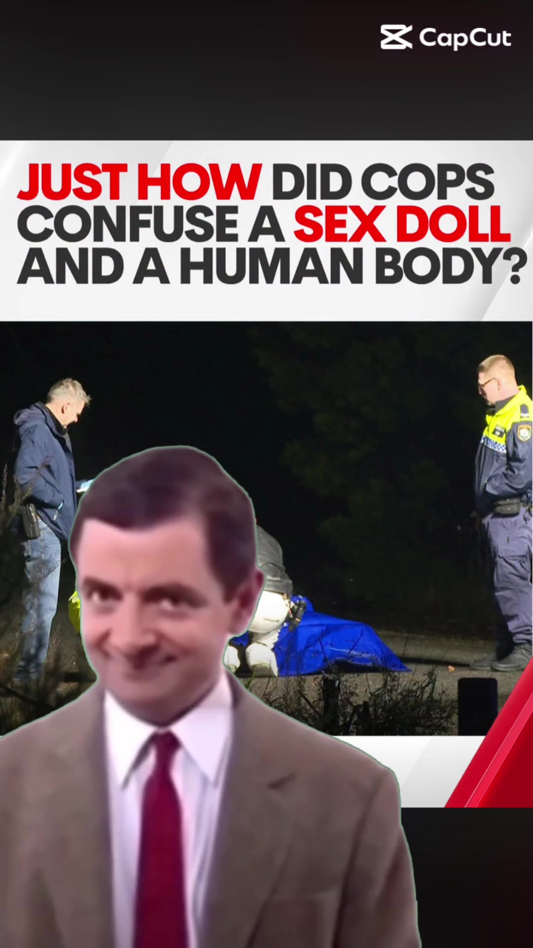 @Santachickens