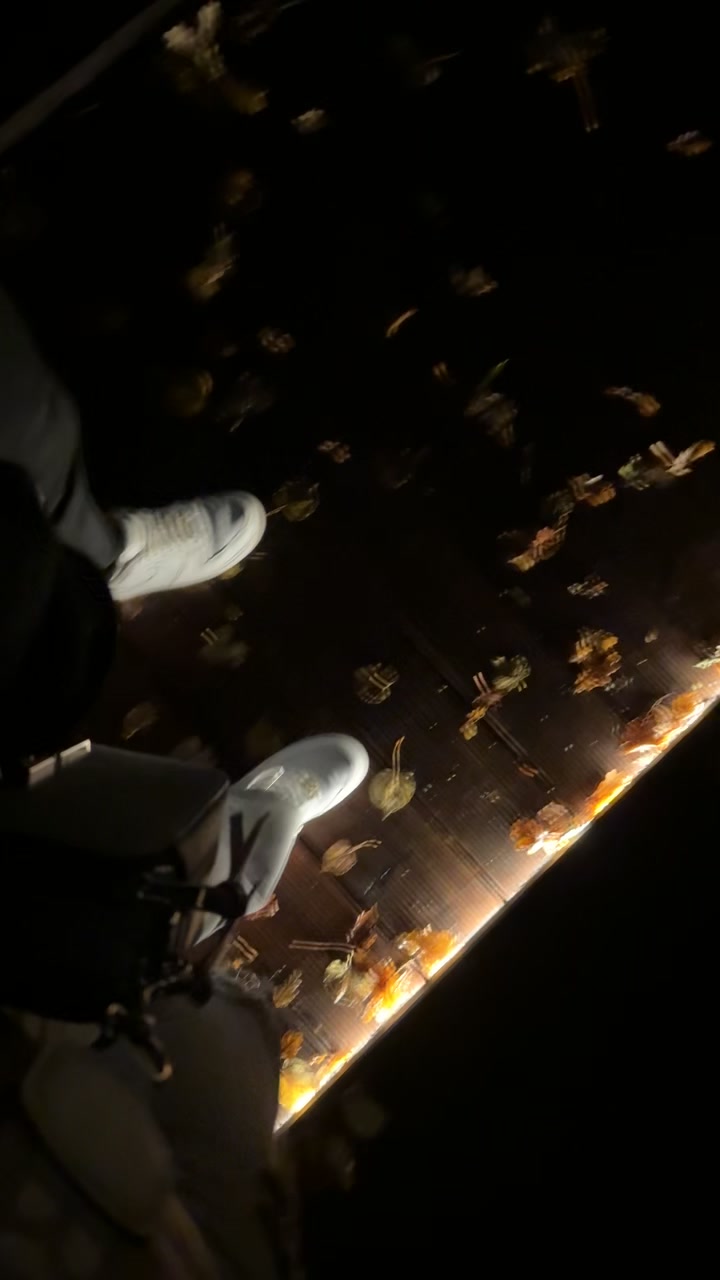 @𝕰𝖑𝖎𝖓𝖆_𝖊𝖑𝖎𝖓𝖆💜