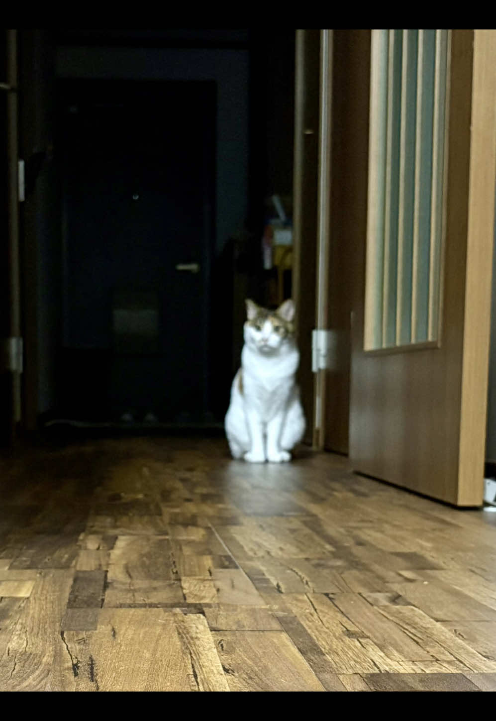 @シチサン