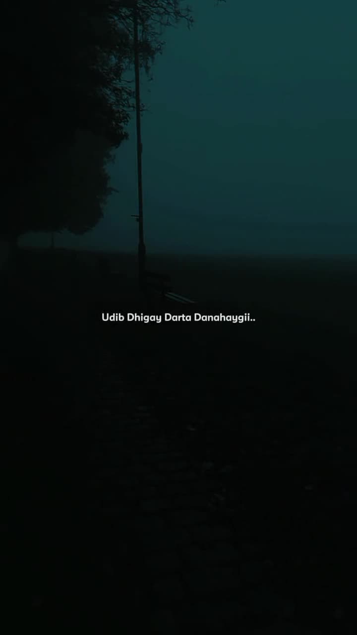 @𝗠𝗨𝗦𝗔𝗔𝗟𝗜𝗗