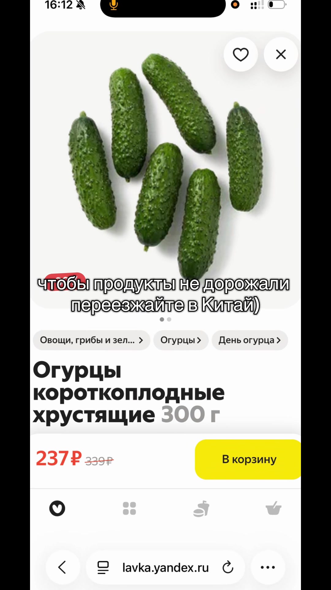 @дашка