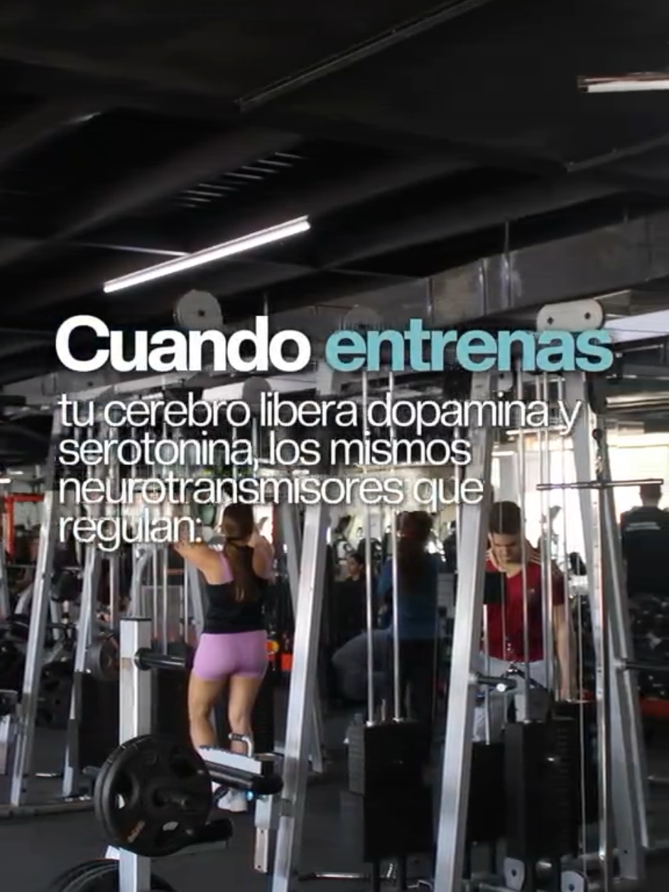 @Vibagym