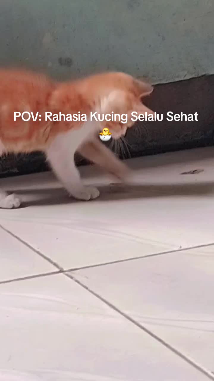 @Aini Nani