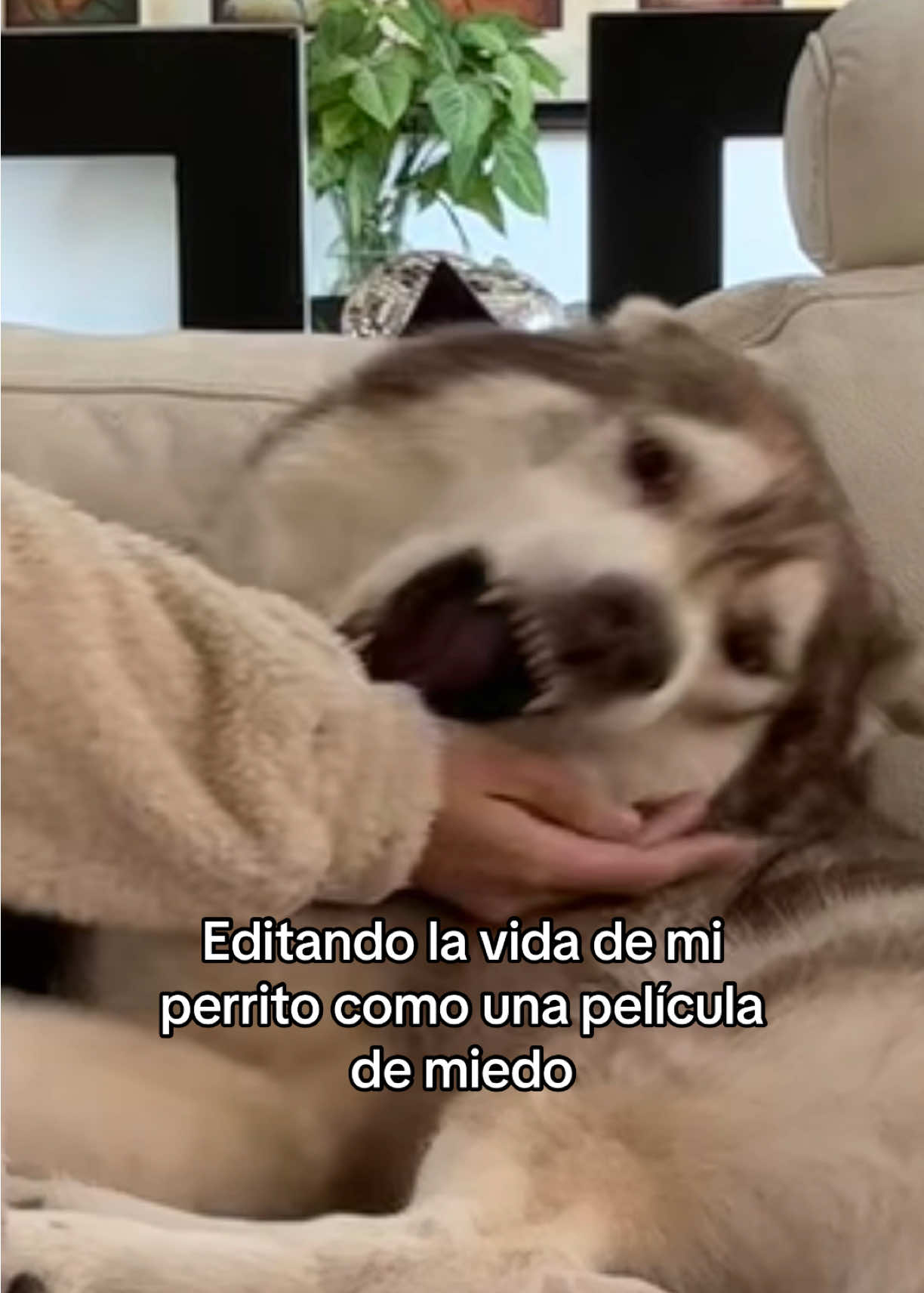 @paolagauna