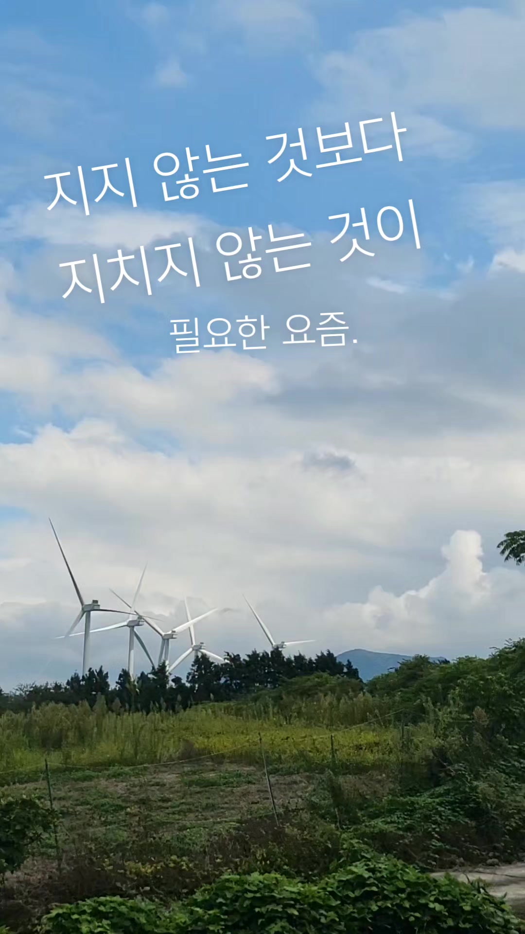 @앤