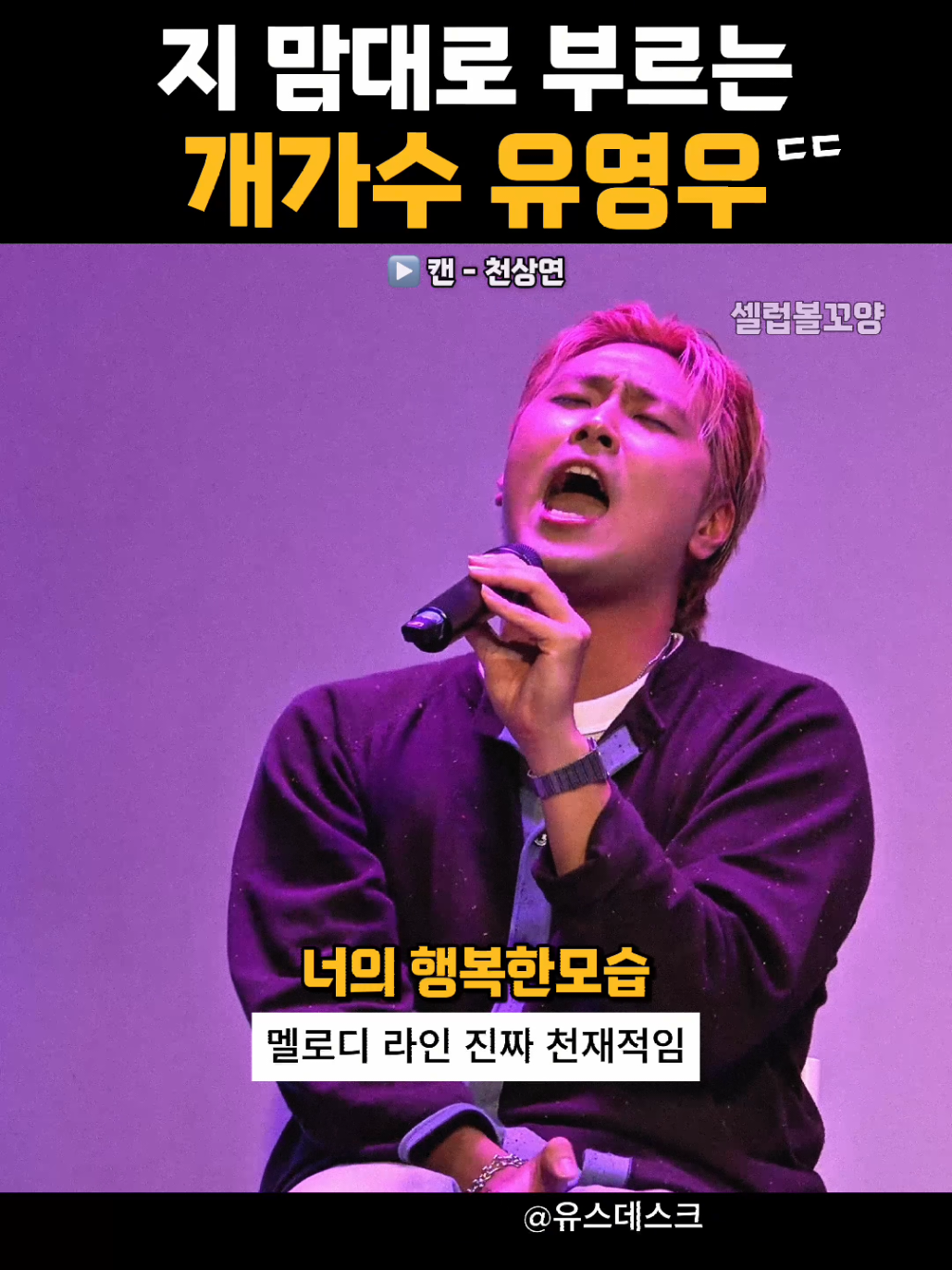@셀럽볼꼬양